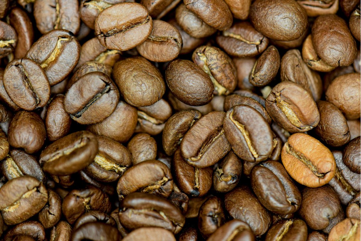 Freshly roasted Arabica coffee beans at source