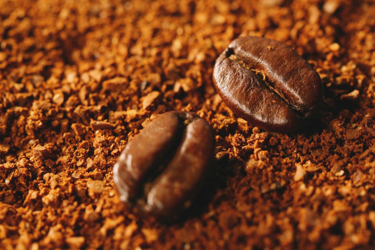 Medium Coffee beans on ground coffee