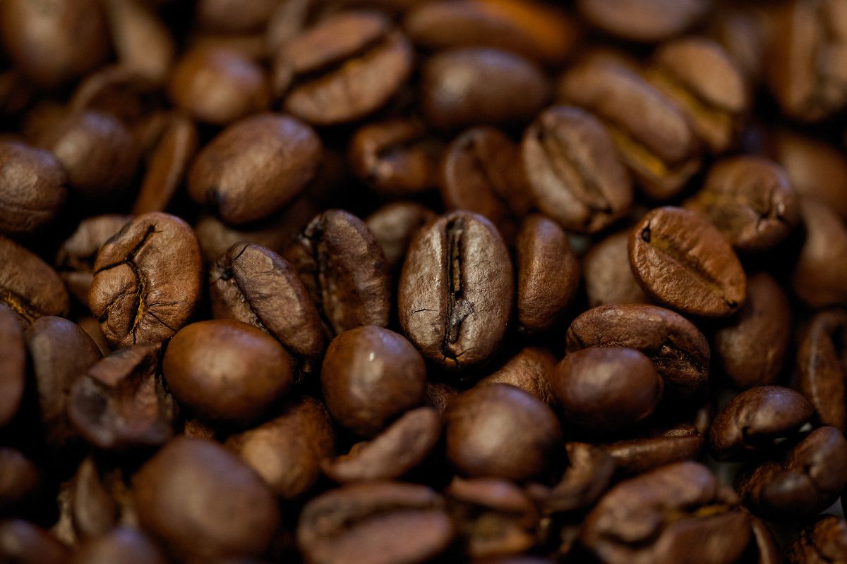 Coffee Storage and Freshness